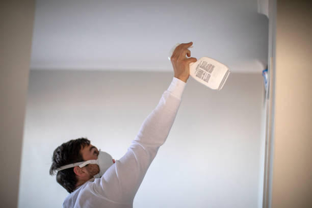 Best Kitchen Mold Remediation in Middlebury, IN