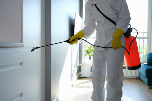 Best Commercial Mold Remediation in Middlebury, IN