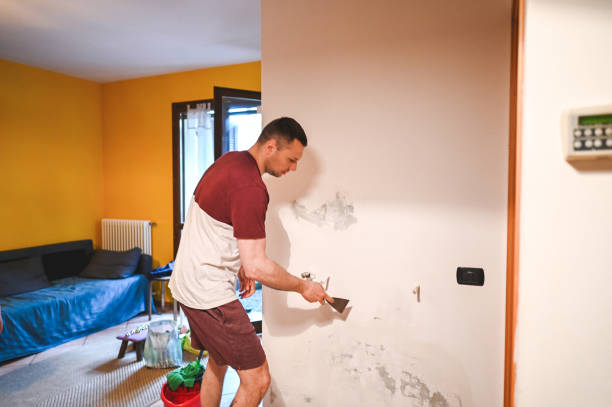 Best Attic Mold Remediation in Middlebury, IN